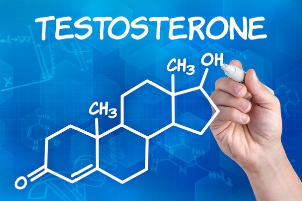 Тестостерон - важнейший гормон в жизни мужчины