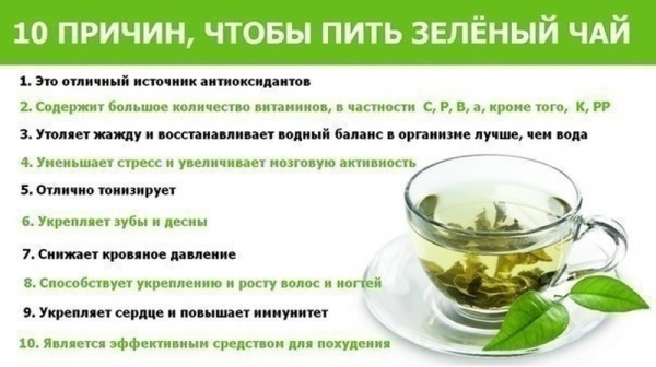 Польза зеленого чая