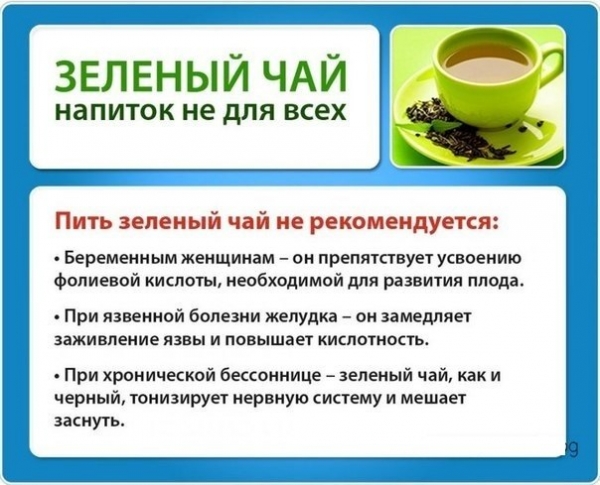 Кому не рекомендуется пить зеленый чай