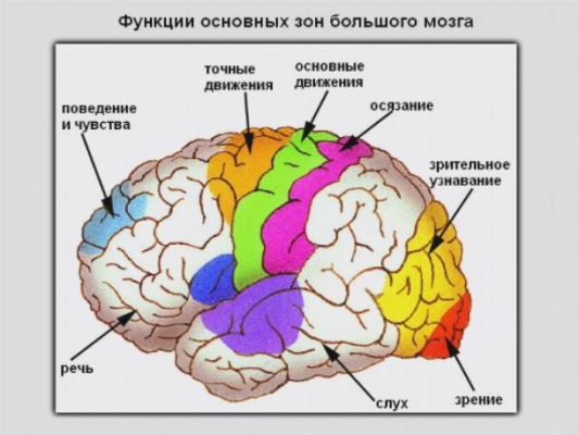 Дапоксетин эффект